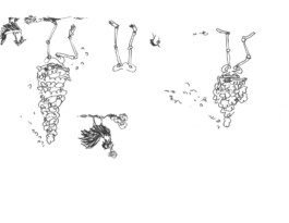 Hugo Chevallier - Branding, Type, Aesthetics