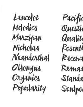 Hugo Chevallier - Branding, Type, Aesthetics